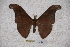  ( - BC-RBP-0890)  @13 [ ] Copyright (2010) Unspecified Research Collection of Ron Brechlin