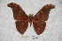  ( - BC-RBP-0906)  @11 [ ] Copyright (2010) Unspecified Research Collection of Ron Brechlin