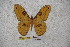  ( - BC-RBP-1341)  @13 [ ] Copyright (2010) Unspecified Research Collection of Ron Brechlin