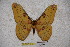  ( - BC-RBP-1342)  @11 [ ] Copyright (2010) Unspecified Research Collection of Ron Brechlin