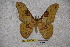  ( - BC-RBP-1356)  @13 [ ] Copyright (2010) Unspecified Research Collection of Ron Brechlin