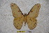  ( - BC-RBP-1438)  @11 [ ] Copyright (2010) Unspecified Research Collection of Ron Brechlin