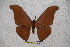  ( - BC-RBP-1465)  @14 [ ] Copyright (2010) Unspecified Research Collection of Ron Brechlin
