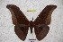  ( - BC-RBP-1470)  @13 [ ] Copyright (2010) Unspecified Research Collection of Ron Brechlin