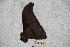  ( - BC-RBP-1528)  @12 [ ] Copyright (2010) Unspecified Research Collection of Ron Brechlin