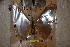  ( - BC-RBP-1539)  @11 [ ] Copyright (2010) Unspecified Research Collection of Ron Brechlin