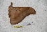  ( - BC-RBP-1540)  @11 [ ] Copyright (2010) Unspecified Research Collection of Ron Brechlin