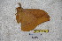 ( - BC-RBP-1542)  @12 [ ] Copyright (2010) Unspecified Research Collection of Ron Brechlin