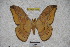  ( - BC-RBP-1804)  @13 [ ] Copyright (2010) Unspecified Research Collection of Ron Brechlin