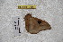  ( - BC-RBP-2300)  @12 [ ] Copyright (2010) Unspecified Research Collection of Ron Brechlin