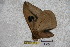 ( - BC-RBP-2319)  @11 [ ] Copyright (2010) Unspecified Research Collection of Ron Brechlin