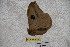  ( - BC-RBP-2320)  @11 [ ] Copyright (2010) Unspecified Research Collection of Ron Brechlin