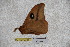  ( - BC-RBP-2321)  @11 [ ] Copyright (2010) Unspecified Research Collection of Ron Brechlin