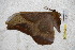  ( - BC-RBP-2344)  @12 [ ] Copyright (2010) Unspecified Research Collection of Ron Brechlin