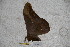 ( - BC-RBP-2347)  @12 [ ] Copyright (2010) Unspecified Research Collection of Ron Brechlin