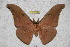  ( - BC-RBP 2794)  @13 [ ] Copyright (2010) Unspecified Research Collection of Ron Brechlin