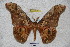  ( - BC-RBP 2823)  @12 [ ] Copyright (2010) Unspecified Research Collection of Ron Brechlin