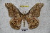  ( - BC-RBP 2826)  @12 [ ] Copyright (2010) Unspecified Research Collection of Ron Brechlin