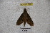  ( - BC-RBP 2861)  @13 [ ] Copyright (2010) Unspecified Research Collection of Ron Brechlin