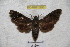  ( - BC-RBP 2990)  @13 [ ] Copyright (2010) Unspecified Research Collection of Ron Brechlin