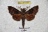  ( - BC-RBP 3000)  @14 [ ] Copyright (2010) Unspecified Research Collection of Patrick Basquin
