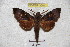  ( - BC-RBP 3001)  @14 [ ] Copyright (2010) Unspecified Research Collection of Patrick Basquin