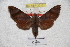 ( - BC-RBP 3010)  @12 [ ] Copyright (2010) Unspecified Research Collection of Patrick Basquin