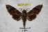  ( - BC-RBP 3021)  @12 [ ] Copyright (2010) Unspecified Research Collection of Patrick Basquin