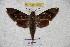  ( - BC-RBP 3022)  @12 [ ] Copyright (2010) Unspecified Research Collection of Ron Brechlin