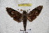  ( - BC-RBP 3024)  @12 [ ] Copyright (2010) Unspecified Research Collection of Patrick Basquin