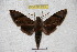  ( - BC-RBP 3025)  @12 [ ] Copyright (2010) Unspecified Research Collection of Ron Brechlin