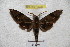  ( - BC-RBP 3027)  @13 [ ] Copyright (2010) Unspecified Research Collection of Ron Brechlin