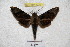  ( - BC-RBP 3029)  @12 [ ] Copyright (2010) Unspecified Research Collection of Ron Brechlin