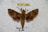  ( - BC-RBP 3058)  @13 [ ] Copyright (2010) Unspecified Research Collection of Patrick Basquin