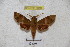  ( - BC-RBP 3059)  @13 [ ] Copyright (2010) Unspecified Research Collection of Patrick Basquin