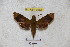  ( - BC-RBP 3062)  @13 [ ] Copyright (2010) Unspecified Research Collection of Patrick Basquin