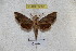  ( - BC-RBP 3067)  @12 [ ] Copyright (2010) Unspecified Research Collection of Patrick Basquin