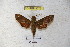  ( - BC-RBP 3072)  @13 [ ] Copyright (2010) Unspecified Research Collection of Patrick Basquin