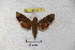  ( - BC-RBP 3073)  @11 [ ] Copyright (2010) Unspecified Research Collection of Patrick Basquin