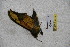  ( - BC-RBP 3115)  @12 [ ] Copyright (2010) Unspecified Research Collection of Ron Brechlin