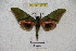  ( - BC-RBP 3118)  @12 [ ] Copyright (2010) Unspecified Research Collection of Ron Brechlin