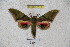  ( - BC-RBP 3119)  @12 [ ] Copyright (2010) Unspecified Research Collection of Ron Brechlin