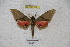  ( - BC-RBP 3121)  @12 [ ] Copyright (2010) Unspecified Research Collection of Ron Brechlin