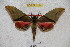  ( - BC-RBP 3124)  @13 [ ] Copyright (2010) Unspecified Research Collection of Ron Brechlin