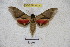  ( - BC-RBP 3133)  @13 [ ] Copyright (2010) Unspecified Research Collection of Ron Brechlin