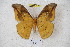  ( - BC-RBP 3186)  @11 [ ] Copyright (2010) Unspecified Research Collection of Ron Brechlin