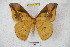  ( - BC-RBP 3187)  @11 [ ] Copyright (2010) Unspecified Research Collection of Ron Brechlin