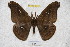  ( - BC-RBP 3212)  @12 [ ] Copyright (2010) Unspecified Research Collection of Ron Brechlin