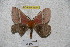  ( - BC-RBP 3230)  @12 [ ] Copyright (2010) Unspecified Research Collection of Ron Brechlin