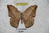  ( - BC-RBP 3249)  @12 [ ] Copyright (2010) Unspecified Research Collection of Ron Brechlin